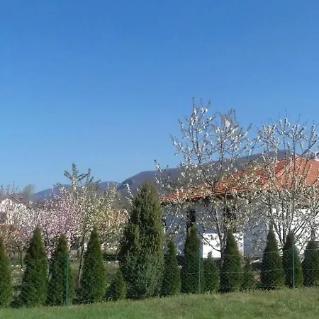 House Milovanovic