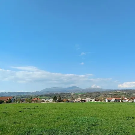 House Milovanovic Villa Sokobanja