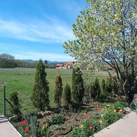 House Milovanovic
