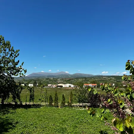 House Milovanovic