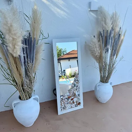 House Milovanovic * 소코 반자