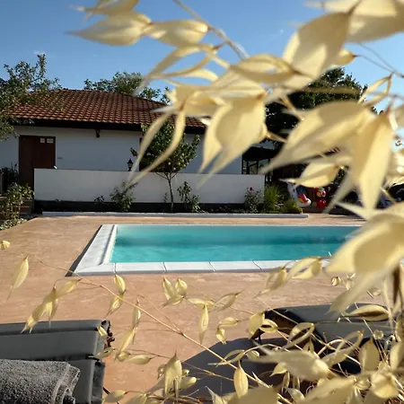 House Milovanovic Вилла