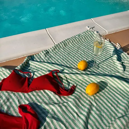 House Milovanovic * 소코 반자