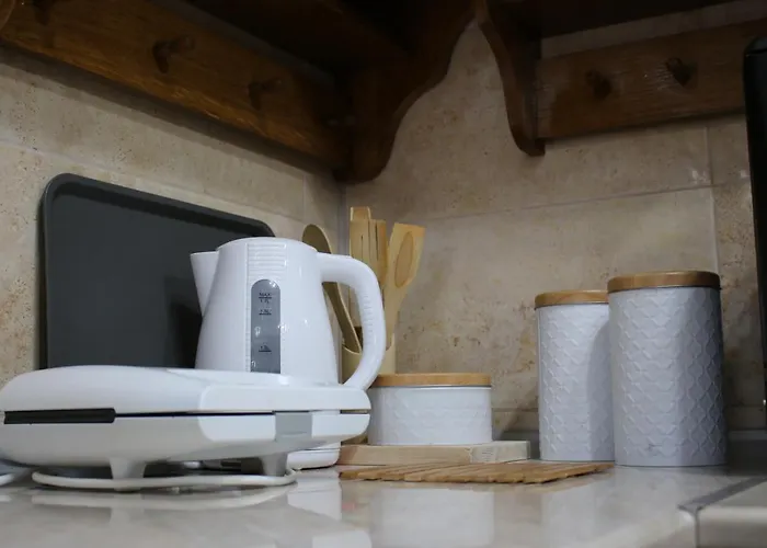 House Milovanovic * 索科矿泉村