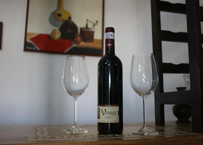 别墅 House Milovanovic 索科矿泉村