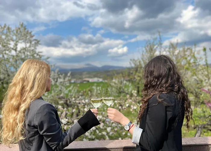 House Milovanovic فيلة *