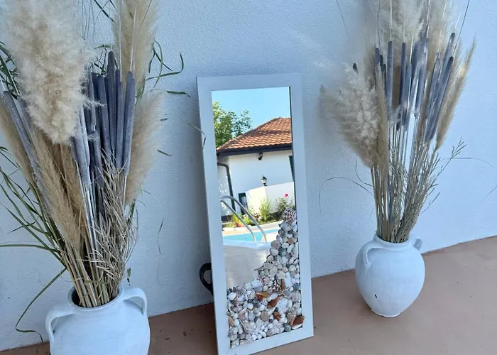 House Milovanovic * 索科矿泉村