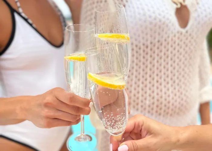 House Milovanovic 索科矿泉村